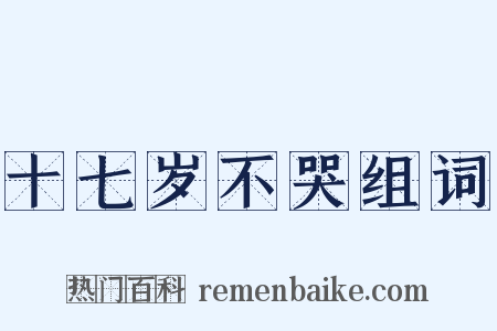 十七岁不哭组词是什么意思的图片